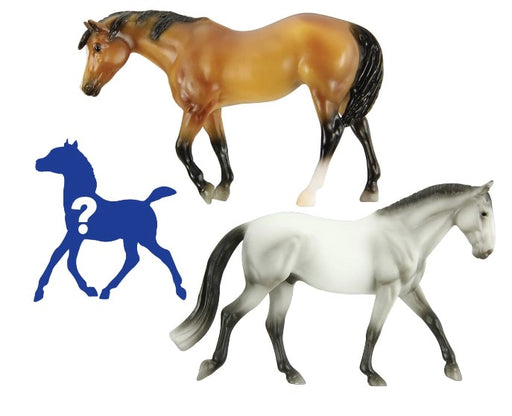 The Elegant Pastures Family comes complete with a mare, a stallion, and a foal, of course! This family includes a buckskin Mustang mare and a grey Irish Draught stallion.