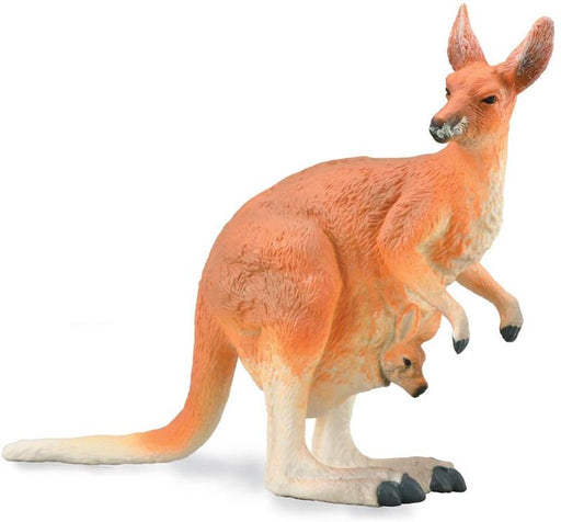 The kangaroo is a marsupial and is indigenous to Australia and New Guinea. The female kangaroos have the unusual ability to delay birth of their baby until their previous Joey has left the pouch.