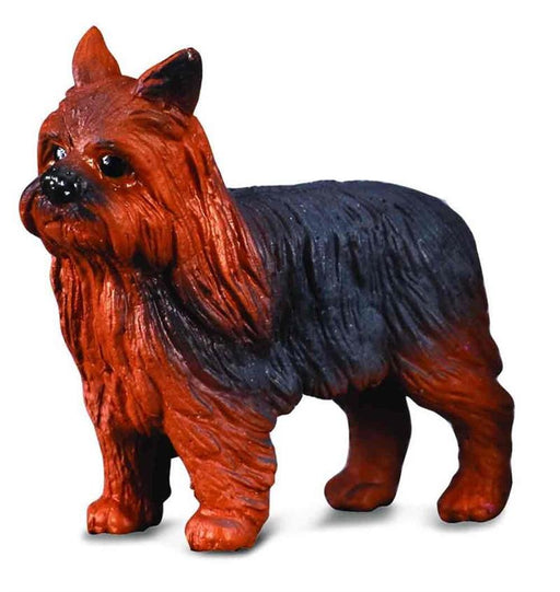 CollectA Yorkshire Terrier Adult Dog, Standing #88078. 1.2''L x 1.2''H Yorkshire Terrier is just one of the many beautifully sculpted pieces in CollectA's Cats and Dogs Collection.