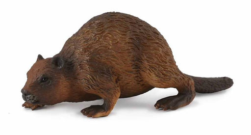 The 3.3" L x 1.4" H Woodlands Beaver is realistic and lifelike in every detail, from its paddle shaped tail and webbed feet to the intent pose as it sniffs along the ground.