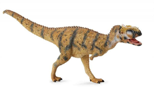This predator was discovered in the early 1980s in Gujarat, India. Its name means ''princely lizard.'' Fossil remains indicate that the Rajasaurus grew to be about 29.5 feet in length and weighed up to 4 tons. This beautifully sculpted, collectible figure