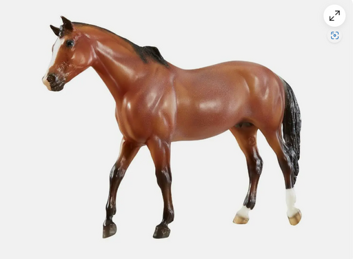 Vicki credits her victory to giving Kentucky a strong foundation and building up the cautious horses trust. That trust shined during their freestyle routine that included jumping bareback!