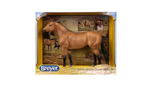 A buckskin is a bay horse with a cream gene that dilutes their hair to a rich caramel color with black or dark brown points. Buckskins can be found in numerous horse breeds and may vary from yellow to dark gold.