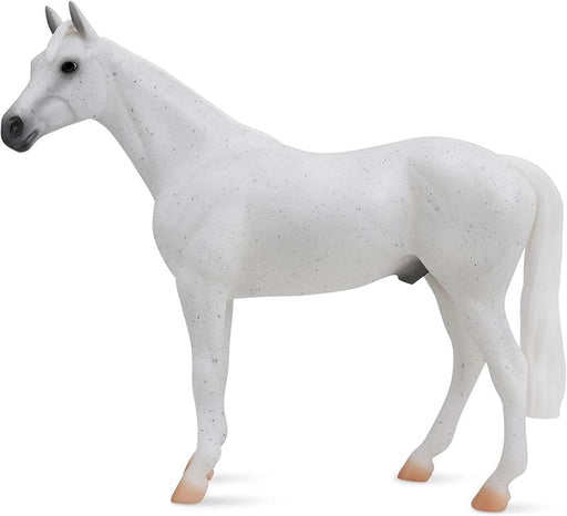 The athletic Thoroughbred is best known as a racehorse, but also excels in three-day eventing. Additionally, the Thoroughbred is known for having agility, grace, speed, stamina, and courage