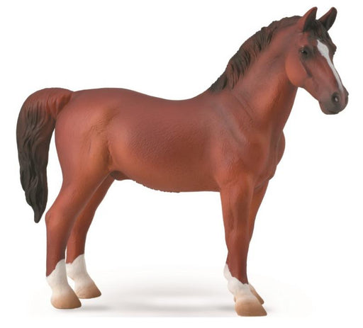 The Hackney Horse originated in Norfolk, England as a swift, elegant riding horse. Over time its reputation also grew as an outstanding driving horse due to its spectacular, high stepping trot and stamina. The modern Hackney is a versatile breed used for 