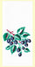 Red and White Kitchen Retro Blackberries Flour Sack Towel 100% Cotton