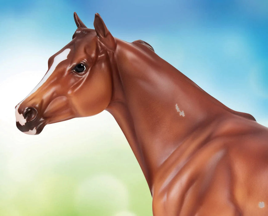 Breyer Traditional Apolloitico Jess - Dual Registered AQHA & APHA Champion Sprinter #10718
