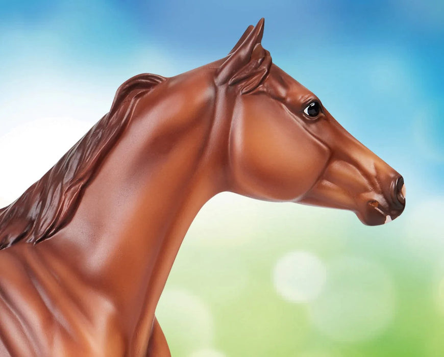 Breyer Traditional Apolloitico Jess - Dual Registered AQHA & APHA Champion Sprinter #10718