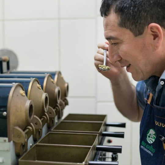 Organic Decaf Coffee - Medium Roast Small Batch 12oz Bag