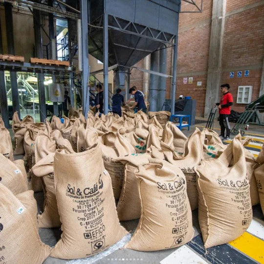 Organic Decaf Coffee - Medium Roast Small Batch 12oz Bag