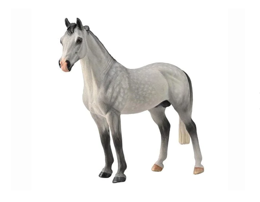 For generations, the Hanoverian horse has been recognized as one of the worlds most prominent and successful breeds of riding horses.