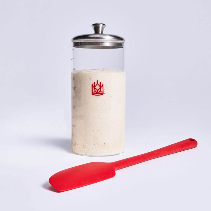 King Arthur Baking Petite Glass Sourdough Crock with Spatula - 1 Pint