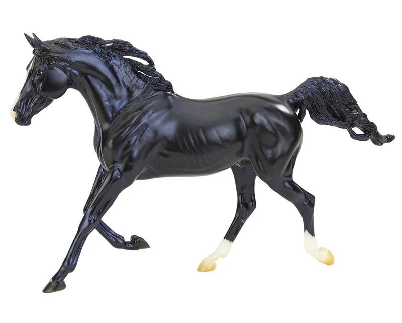 Arabians are one of the most popular breeds, and this stunning black stallions ebony coat and white markings are breathtaking! 