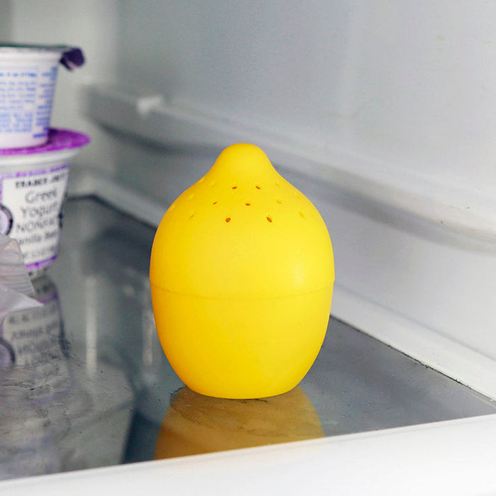 Lemon Lime Fridge & Freezer Fresheners