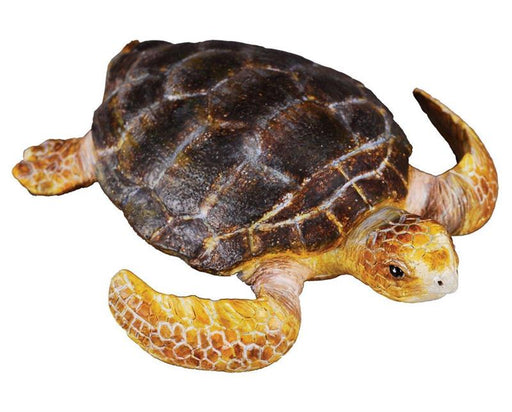 CollectA's realistic loggerhead turtle figurine measures 2.76 in L x 2.56 in W x 0.79 in H. Ages 3+ | 1:18 Scale