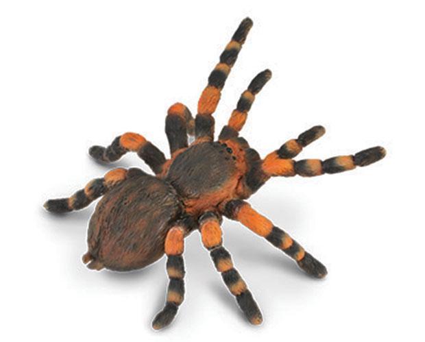 CollectA's Tarantula Spider figurine Measures 3.7"L x 1.1"H. Ages 3 and up. All CollectA models are crafted to the highest standards and made with high quality, safe, phthalate-free, lead-free materials. 