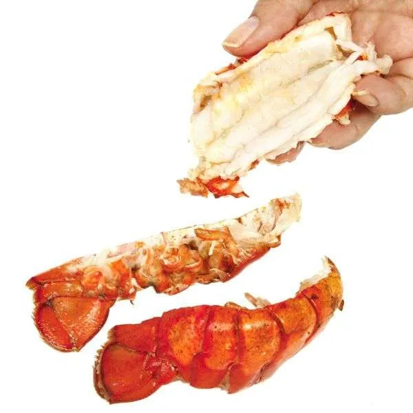 NorPro Ultimate Seafood Shears - Heavy Duty Kitchen Scissors for Shellfish and Crab