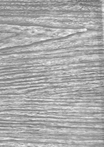 Ash Oilcloth Fabric Full Bolt - 12 Continuous Yards, 47.5" Wide