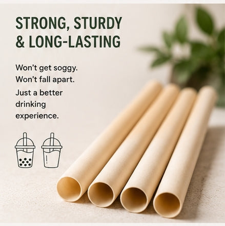 The Wild Turtle Boba & Smoothie Sugarcane Straws, 50 Count